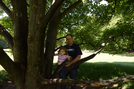 Playing in the trees in the Tiergarten1